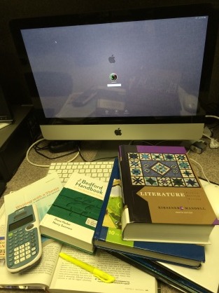 The many textbooks to aid with procrastination projects. 