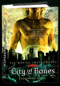 The first installment of the Mortal Instruments series. 