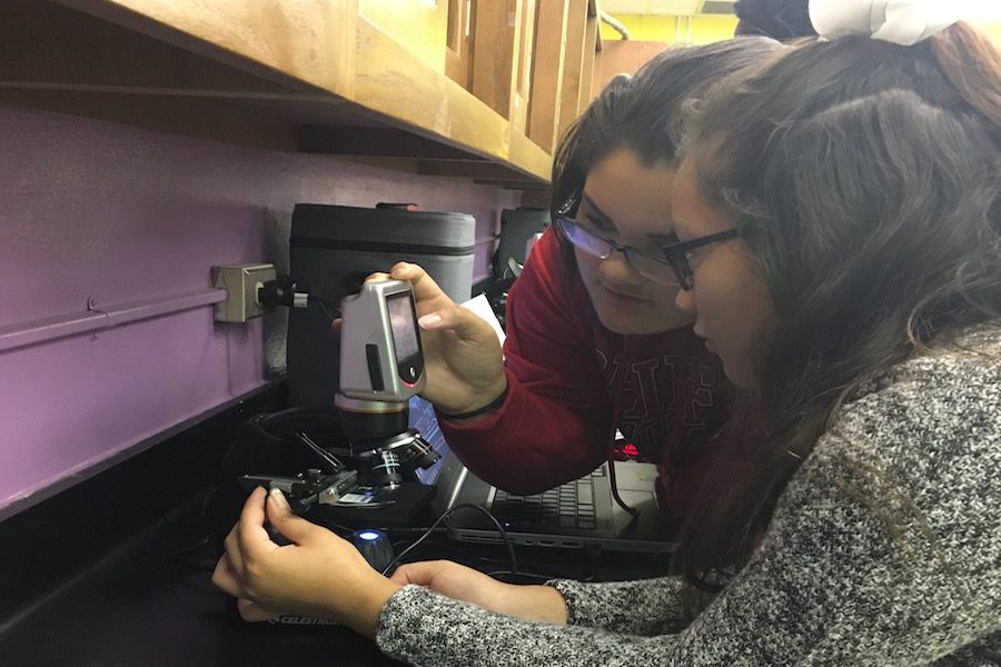 Freshmen+Use+SCRIPPS+Microscopes