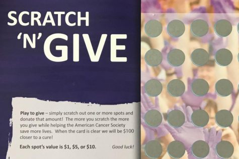Clubs Raise Money to Fight Cancer