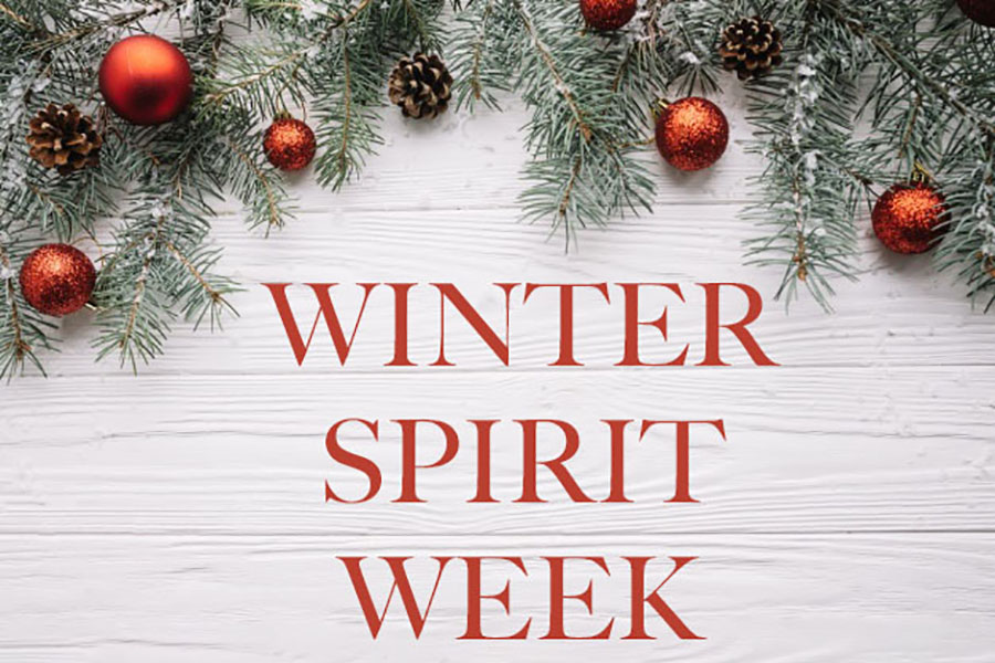 Image result for winter spirit week"