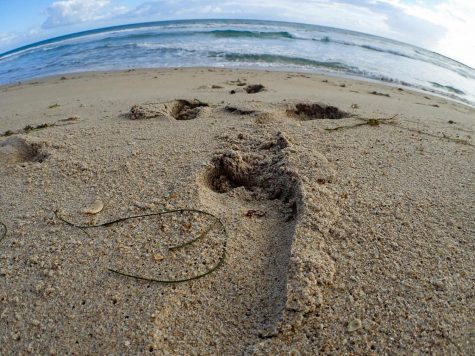 Have a Great Spring Break!