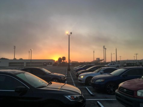 Morning Fog Can’t Stop a Beautiful Florida Sunrise