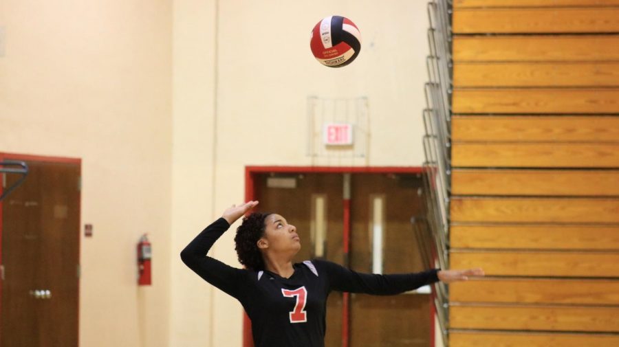 Ashleigh Russell-digilio serves the ball. 