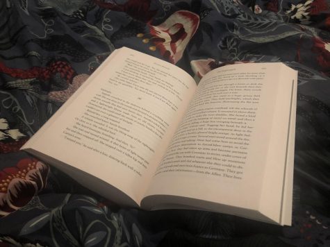 Independent Reading