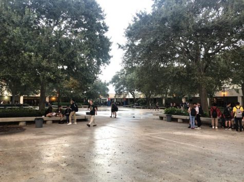 A Rainy Day