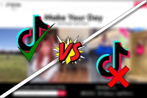 TikTok: Cultural Titan or Cultural Downfall?