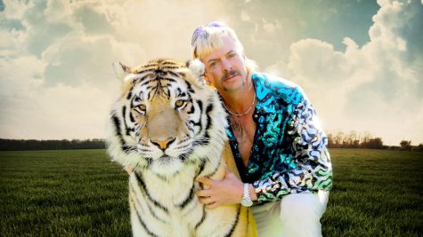'Tiger King' Review