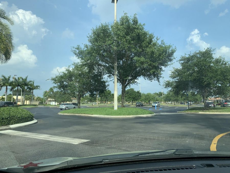 The TJMaxx shopping plaza on Lantana Road is virtually empty because of the pandemic. 