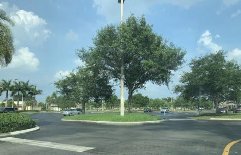 The TJMaxx shopping plaza on Lantana Road is virtually empty because of the pandemic.
