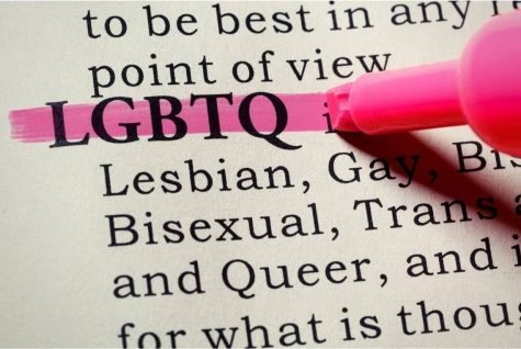 LGBTQ+ stands for Lesbian, Gay, Bisexual, Transgender, Queer, and + referring to other sexual identities.
