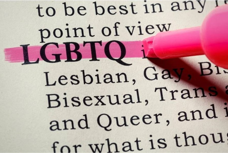 LGBTQ%2B+stands+for+Lesbian%2C+Gay%2C+Bisexual%2C+Transgender%2C+Queer%2C+and+%2B+referring+to+other+sexual+identities.