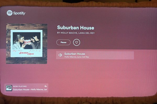 Suburban House By Lana Del Rey & Holly Macve Review