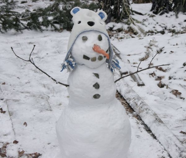 A snowman I made in New York.