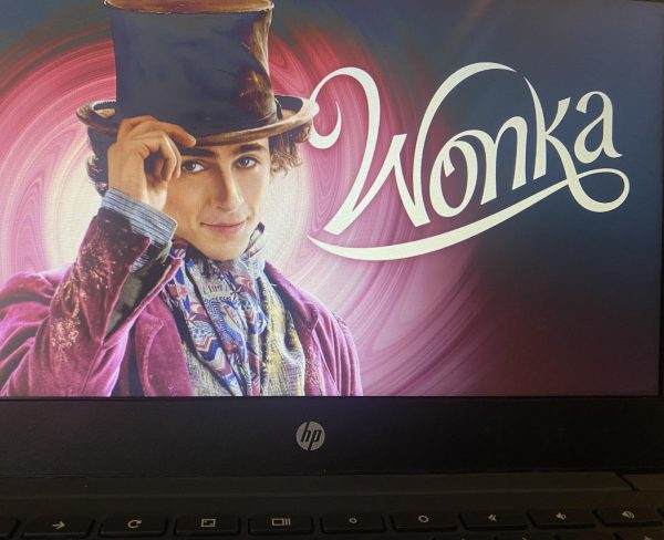 A picture of Wonka playing on my computer.