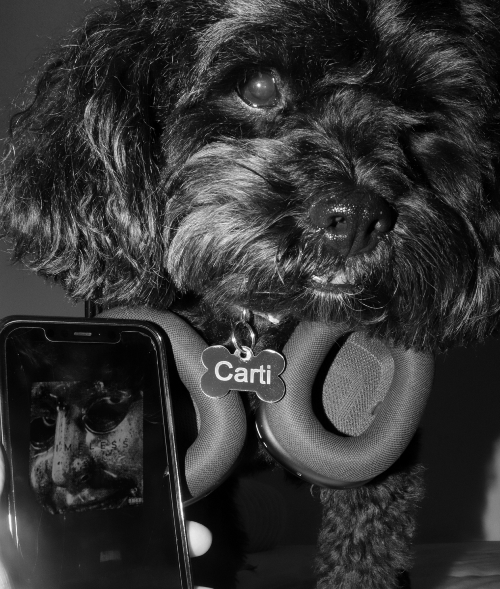 Photo of Carti the dog next to the album cover.