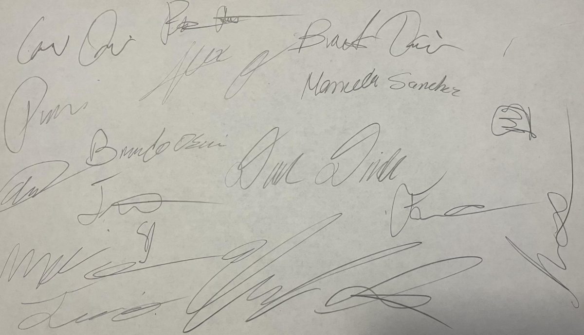 Many Signatures Written On Paper.