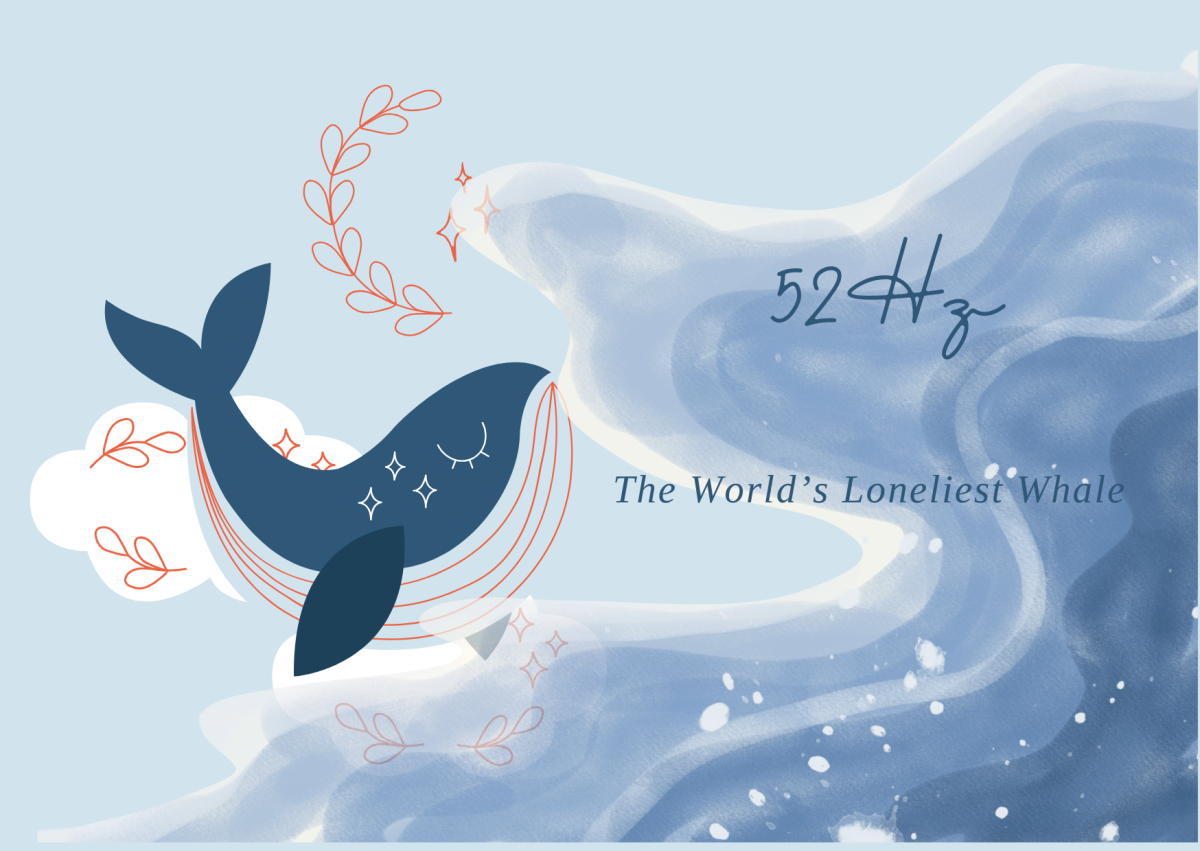 A graphic with the words, "The world's loneliest whale."