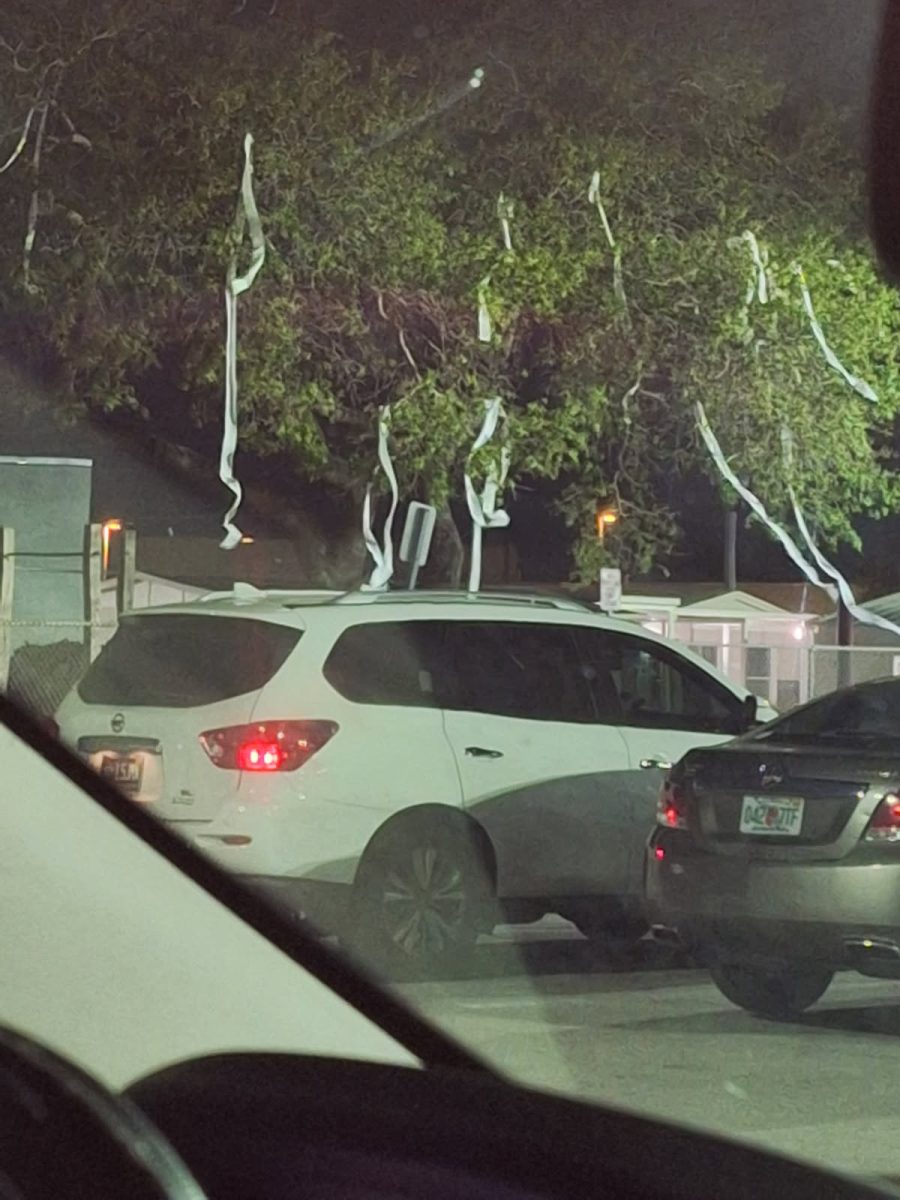 Toilet paper hanging from trees outside of school as part of the Teepee prank.