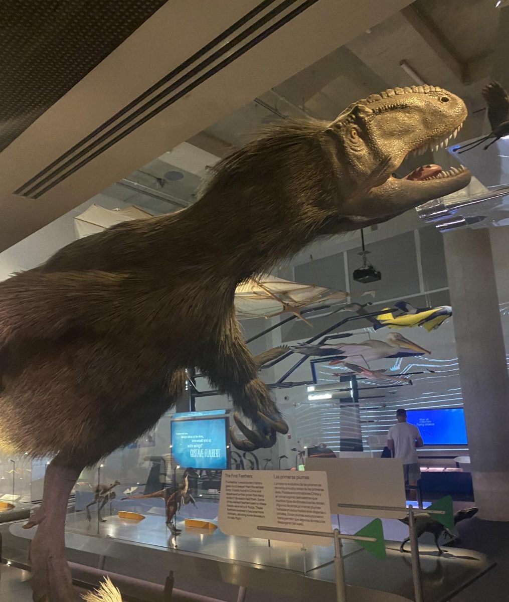 A picture of a dinosaur in a museum.