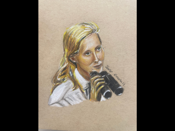 A colored pencil drawing of young Jane Goodall.