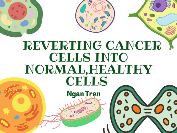 Reverting Cancer Cells into Normal, Healthy Cells