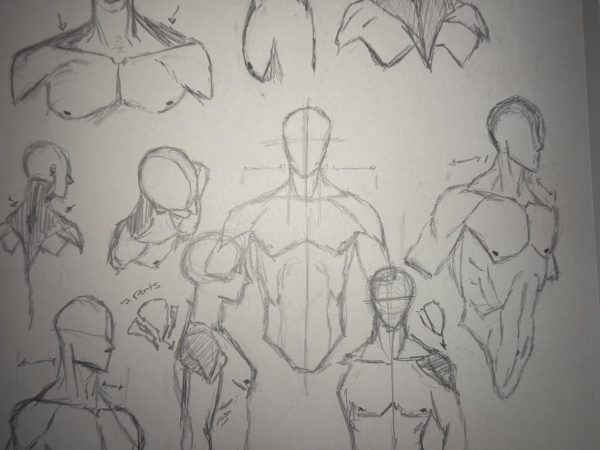 Male Anatomy Sketches