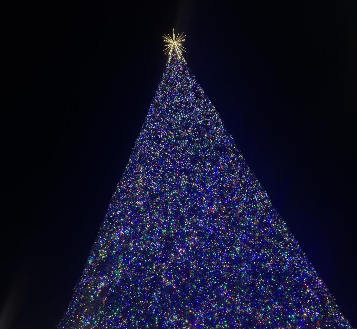 Delray Beach's 100 foot Christmas tree