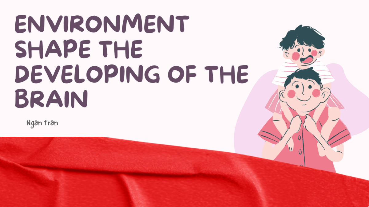 Environment shapes the development of the brain.