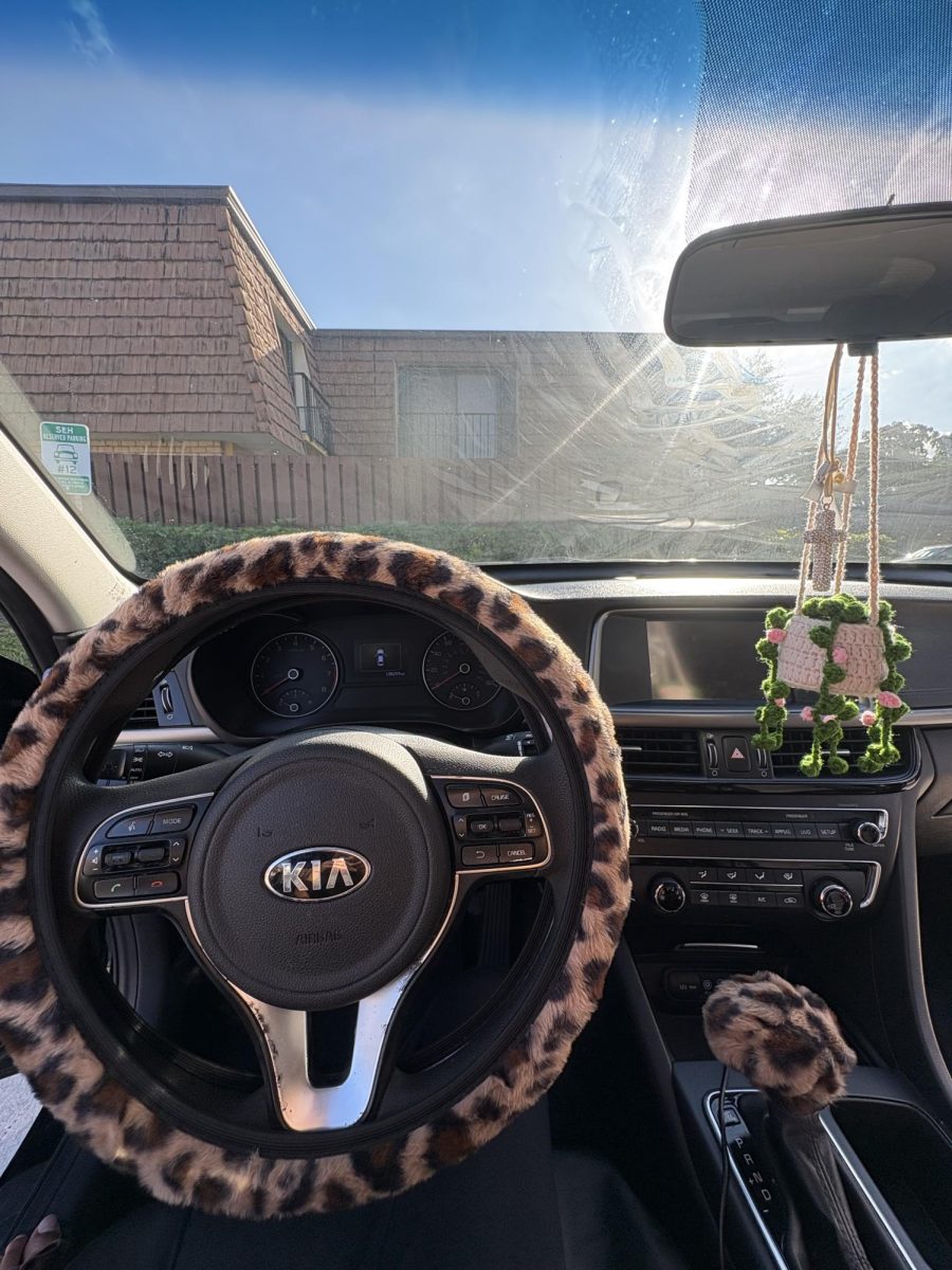Driver's perspective behind the wheel