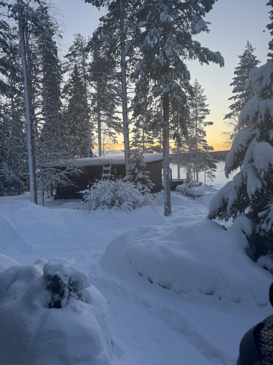 The snowy scenery during my winter trip to Europe.