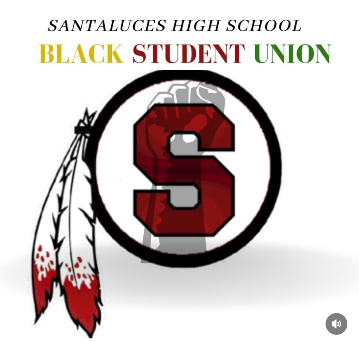BSU new logo