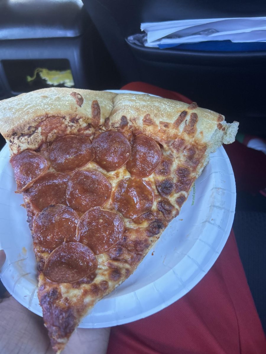 Pizza Slice from Costco 