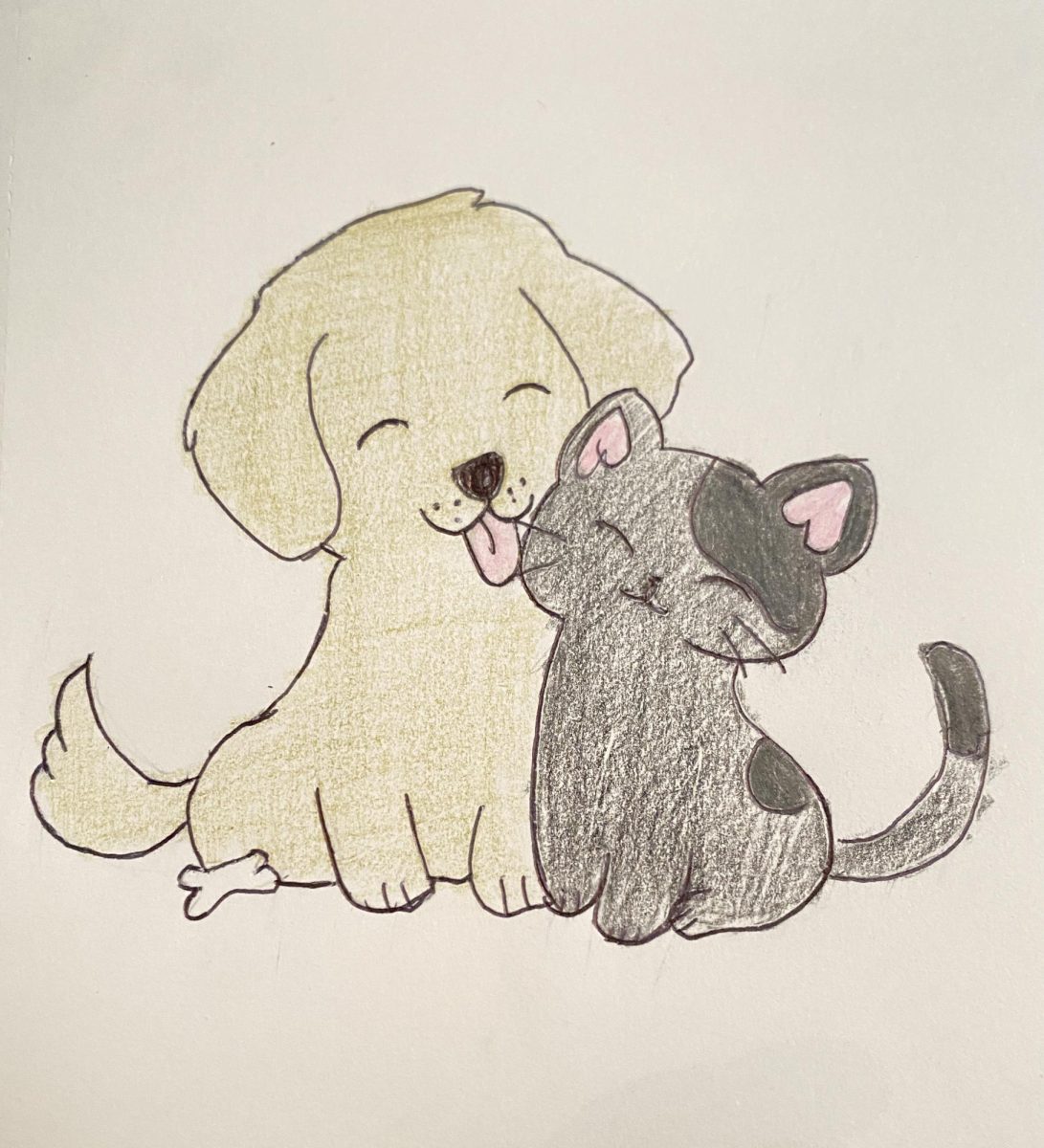 A dog and cat bonding with each other.